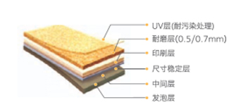 奧爾佳斯助力全運(yùn)會(huì) 蚌埠體育中心順利交付